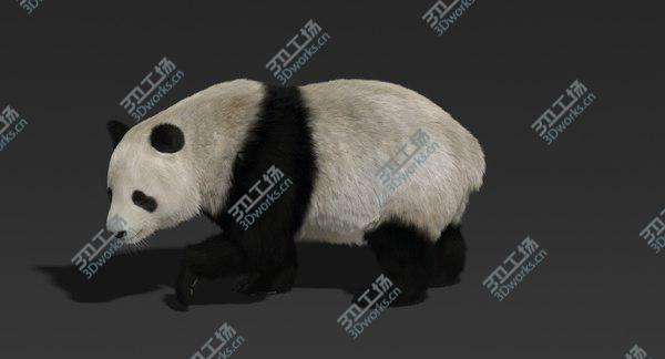 images/goods_img/20210312/3D Giant Panda (Fur) Rigged/2.jpg